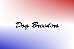 Dog Breeders