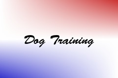 Dog Training