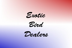 Exotic Bird Dealers