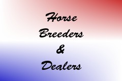 Horse Breeders & Dealers