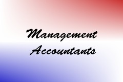 Management Accountants