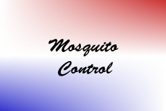 Mosquito Control