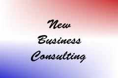 New Business Consulting