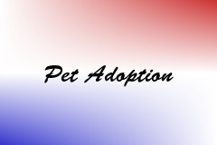 Pet Adoption