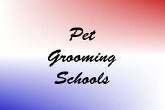 Pet Grooming Schools