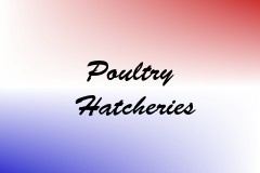Poultry Hatcheries