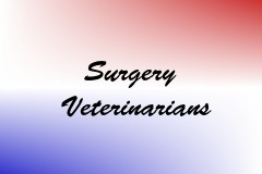 Surgery Veterinarians