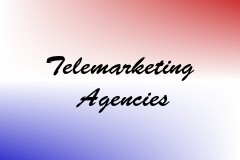 Telemarketing Agencies