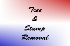 Tree & Stump Removal