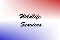 Wildlife Services