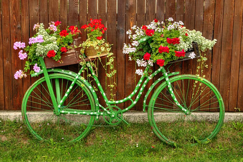 old green bicycle with flowers - against a wooden fence